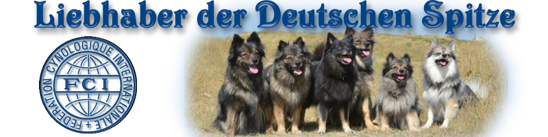 Banner-Spitzliebhaber-05-png