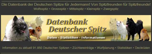 Datenbank Deutscher Spitz