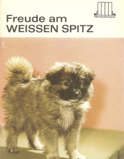 Freude am weissen Spitz