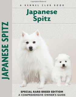 Japanese Spitz