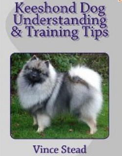 Keeshond Dog