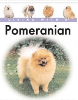 Living with a pomeranian