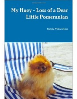 My Huey - Little Pomeranian