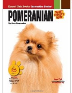 Pomeranian - Kennel Club