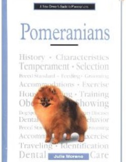 Pomeranian 3