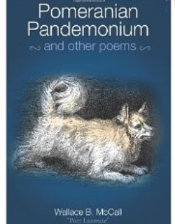 Pomeranian Pandemonium