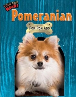 Pomeranian Pom Pom Ado