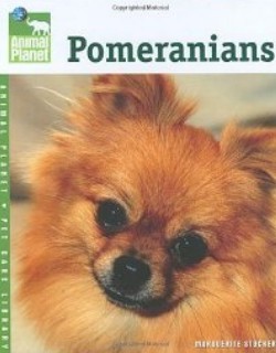 Pomeranians - Animal Planet