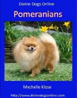 Pomeranians - Mychelle Klose