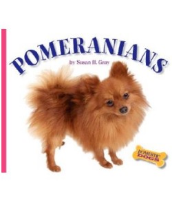 Pomeranians Susan Gray