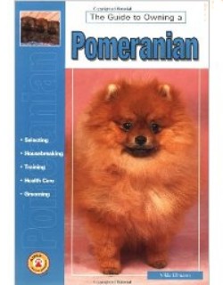 Pomeranina - The guido to owning