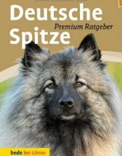 Premium Ratgeber - Deutscher Spitz - Ulmer Verlag