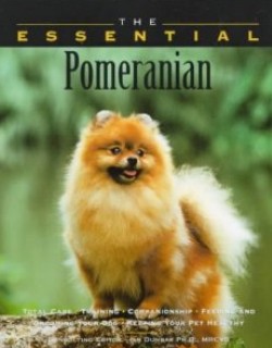 The Essential Pomeranian