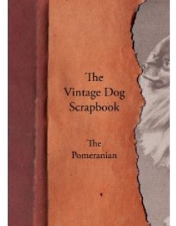 Vintage Dog Scrabook
